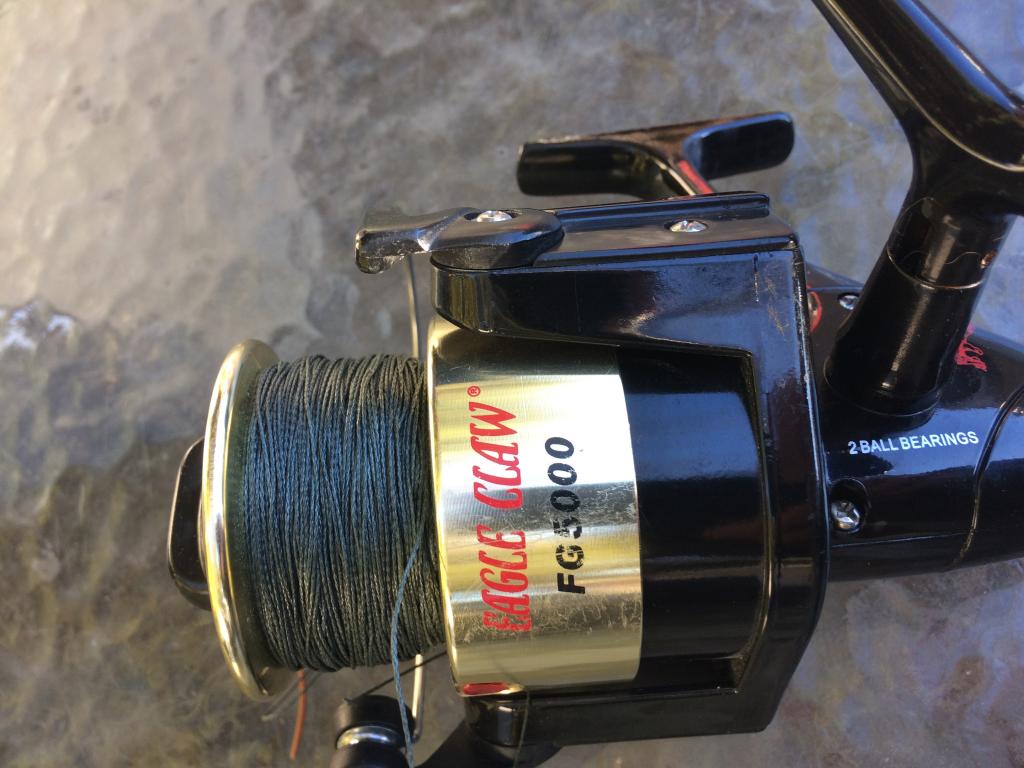 Heavy duty salt water fishing reel-eagle claw #fg5000: -  Your  Best Online Source for Fishing Information in New Jersey