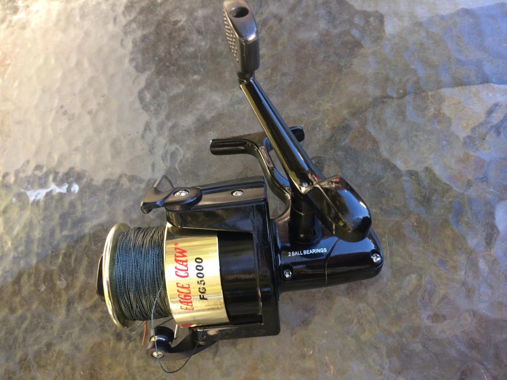 Heavy duty salt water fishing reel-eagle claw #fg5000: - NJFishing