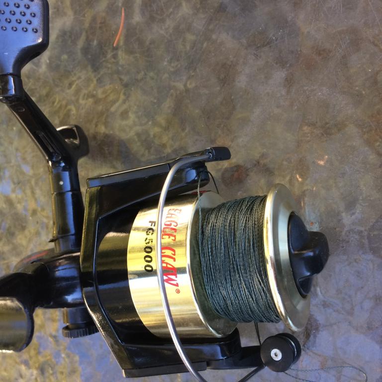 Heavy duty salt water fishing reel-eagle claw #fg5000: - NJFishing