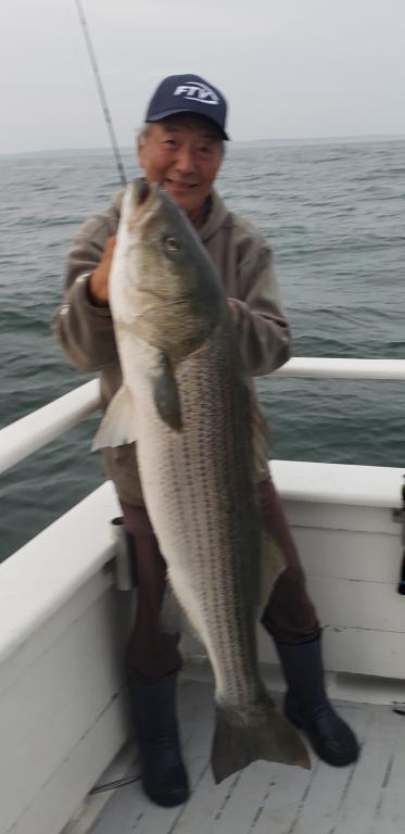 Huge striper on diamond jig out of Montauk -  Your Best Online  Source for Fishing Information in New Jersey