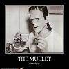 Click image for larger version

Name:	The Mullet.jpg
Views:	175
Size:	11.2 KB
ID:	88858