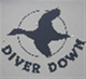 Diver-Down's Avatar